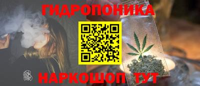 мдпв Гагарин