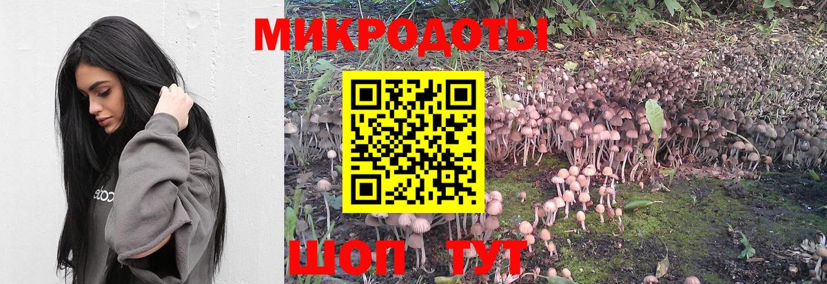 Галлюциногенные грибы мицелий  Галлюциногенные грибы GOLDEN TEACHER  Вход с VPN  Белореченск 