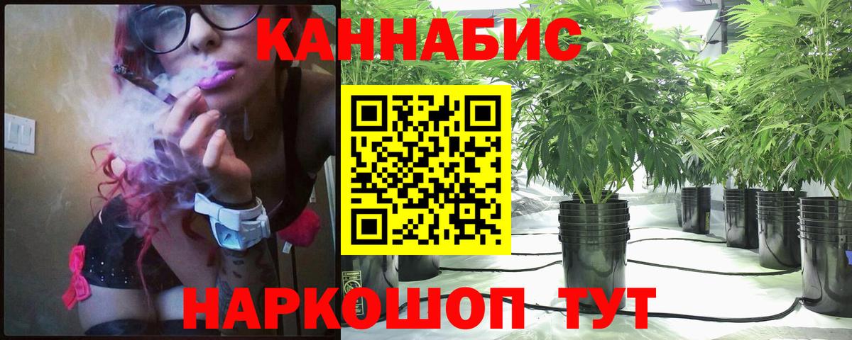 Бошки Шишки MAZAR Белореченск